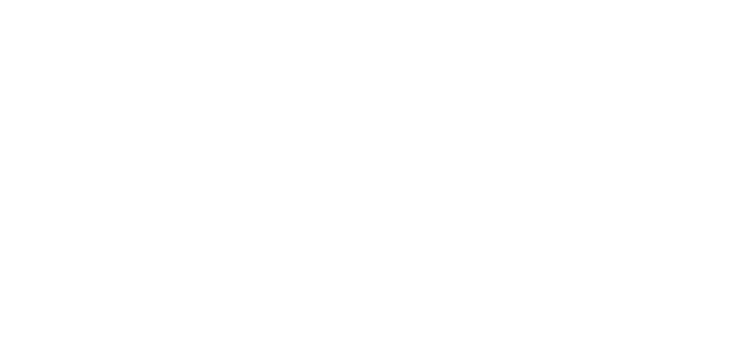 OLA S.A.S.